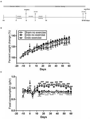 Voluntary Wheel Running Reduces Vesicle Development in an Endometriosis Animal Model Through Modulation of Immune Parameters